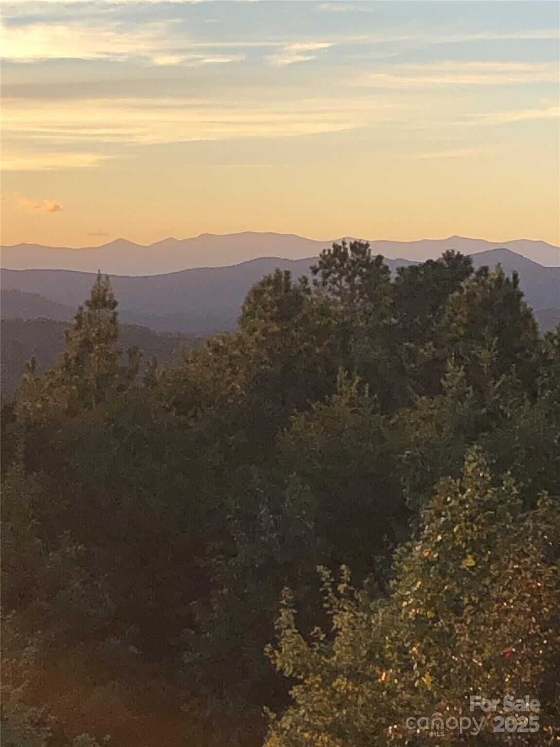 Property Photo: 0 Mountain Lookout Drive Lot 82 NC 28018