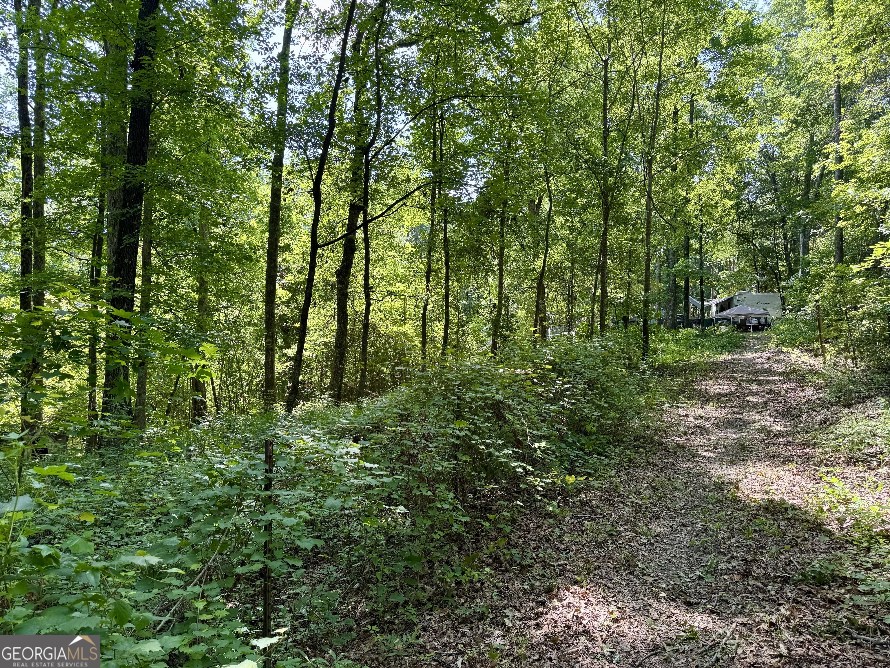 Property Photo: 193 Griswoldville Shortcut GA 31217