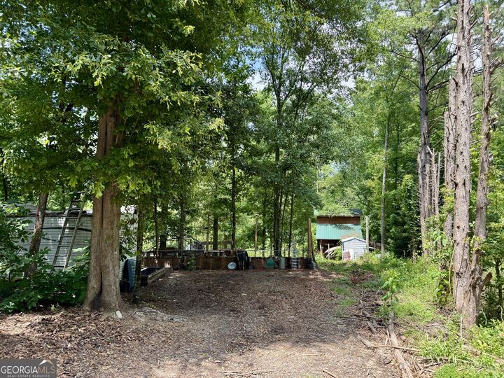 Property Photo: 193 Griswoldville Shortcut GA 31217