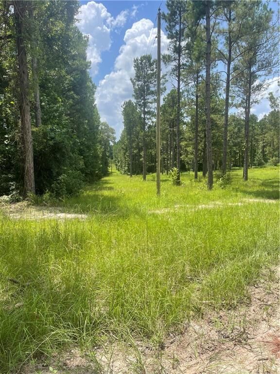 Property Photo:  2704 Government Road  LA 71070 