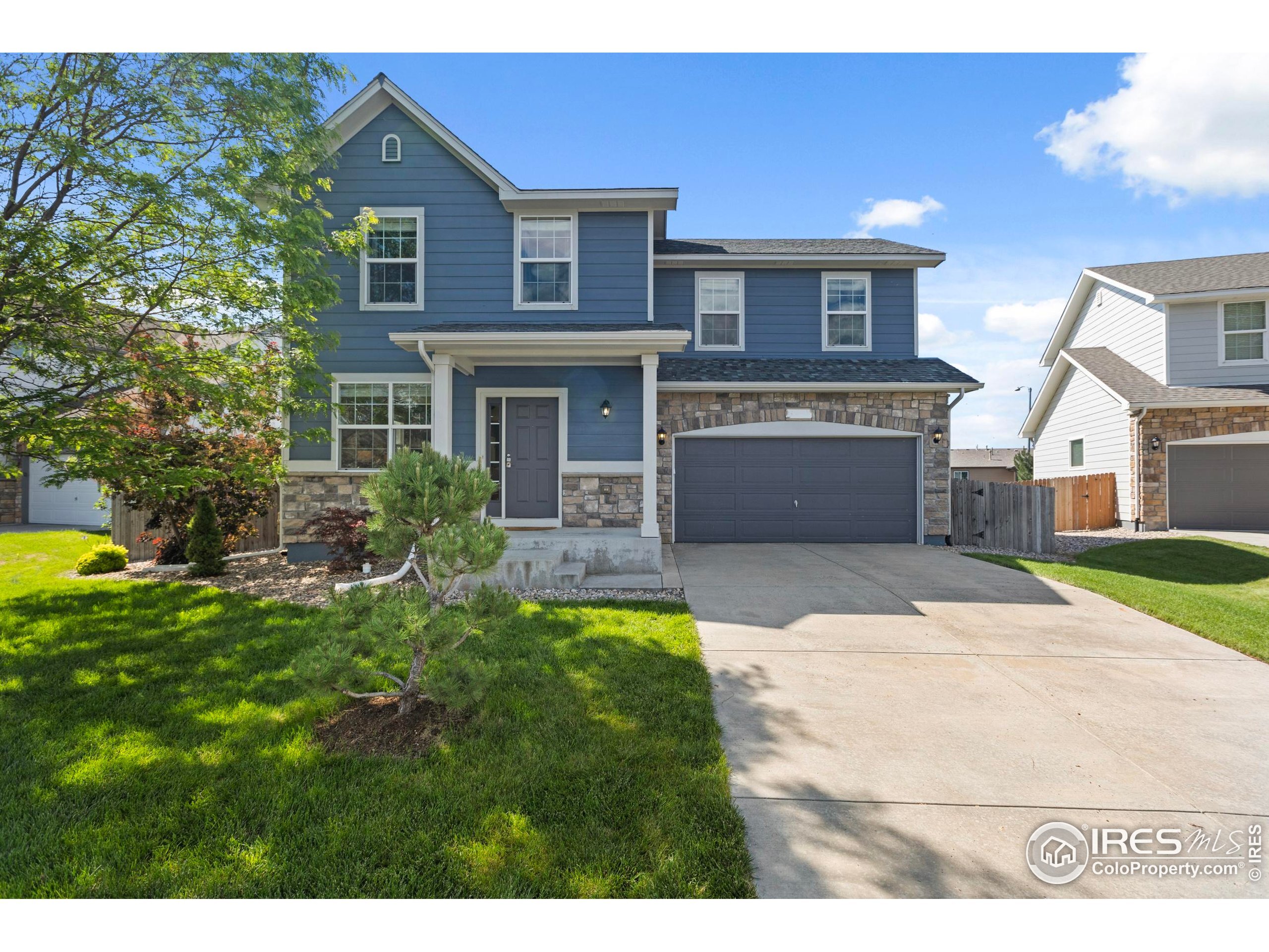 1587 Edenbridge Dr  Windsor CO 80550 photo