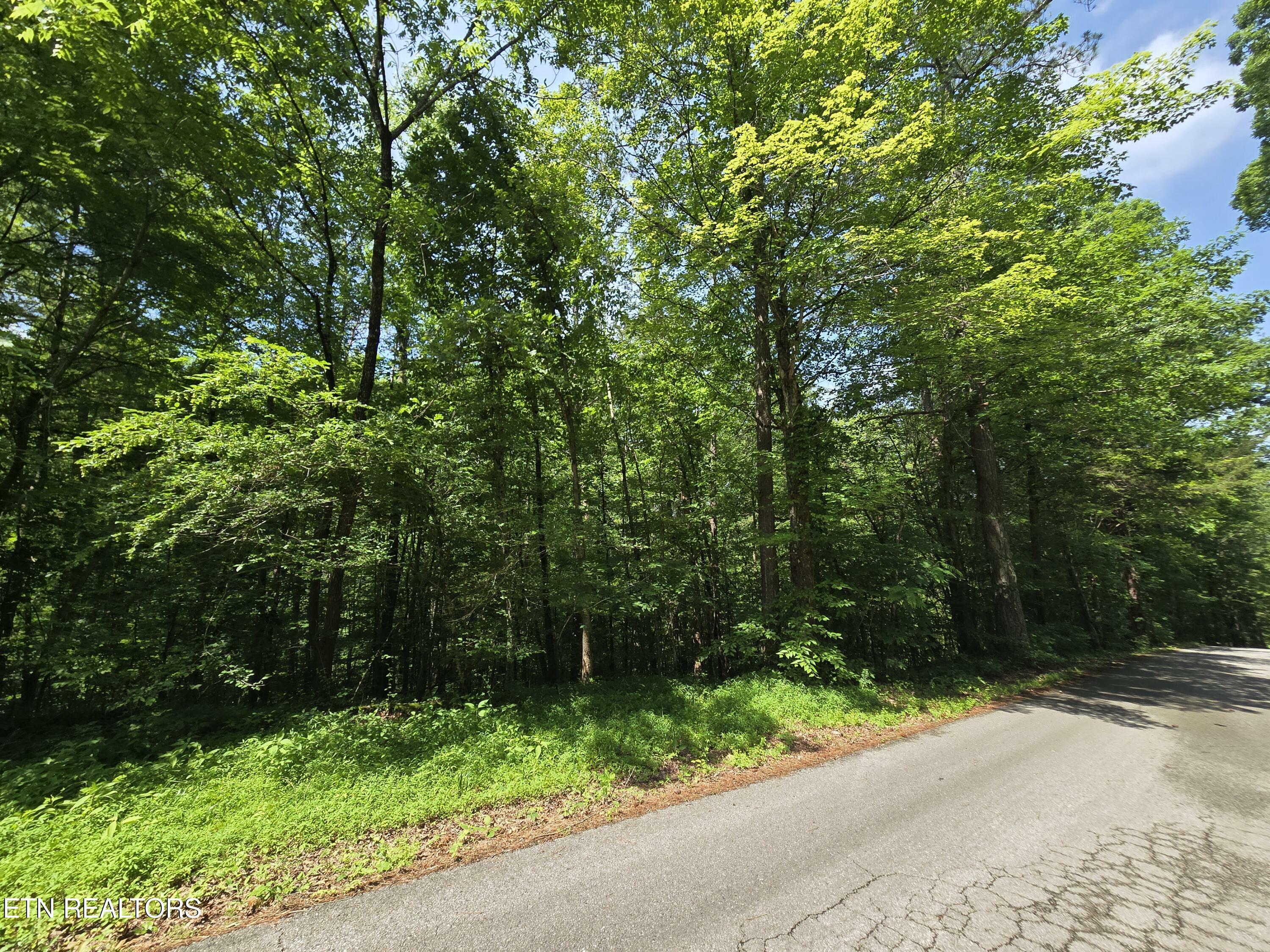 Property Photo:  0 Orchard View Rd  TN 37840 