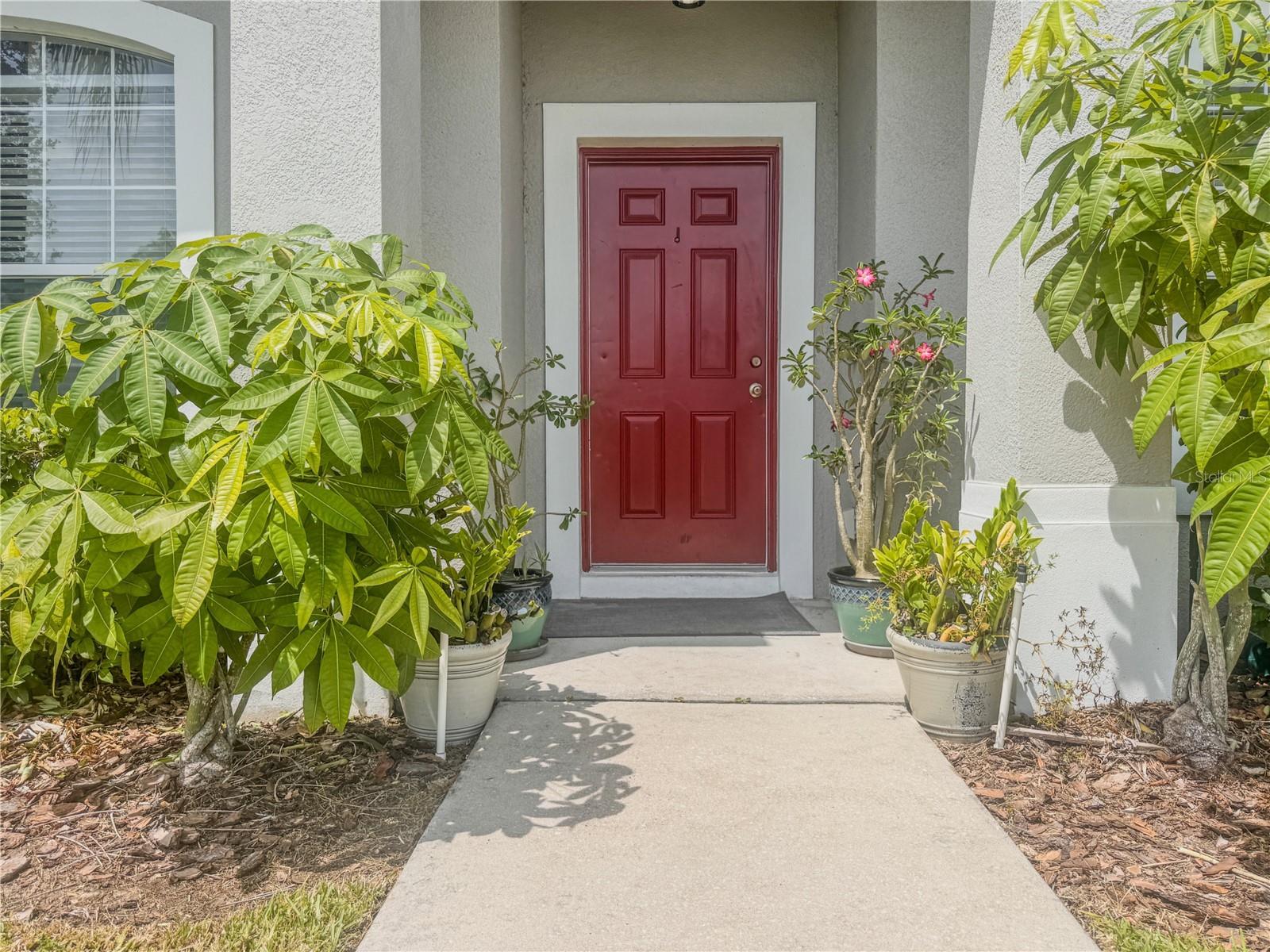 Property Photo: 1637 Mistflower Lane FL 34787