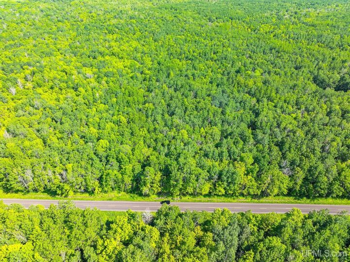 Property Photo:  20 Ac On Lake Road  MI 49938 