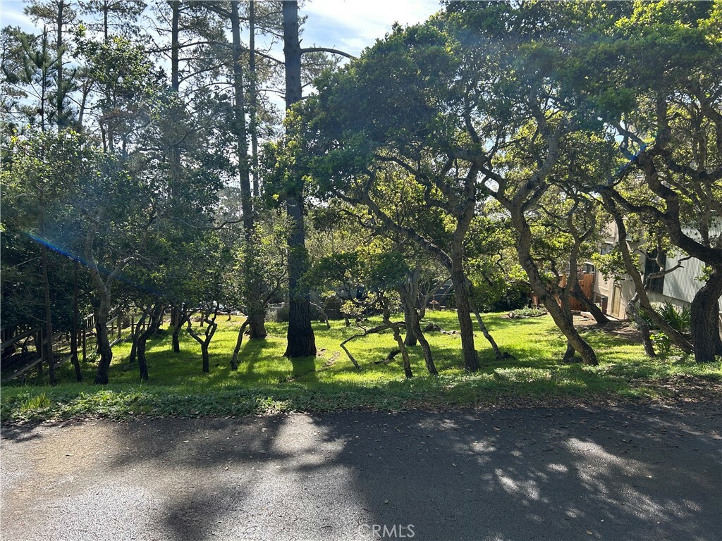 0 Benson Avenue  Cambria CA 93428 photo