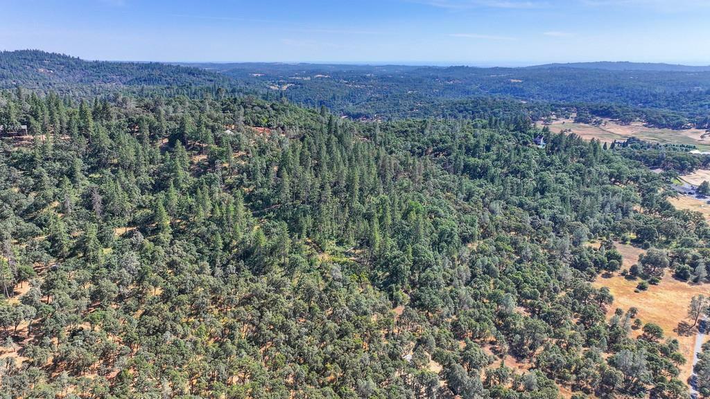 24316 Timber Ridge Drive  Auburn CA 95602 photo