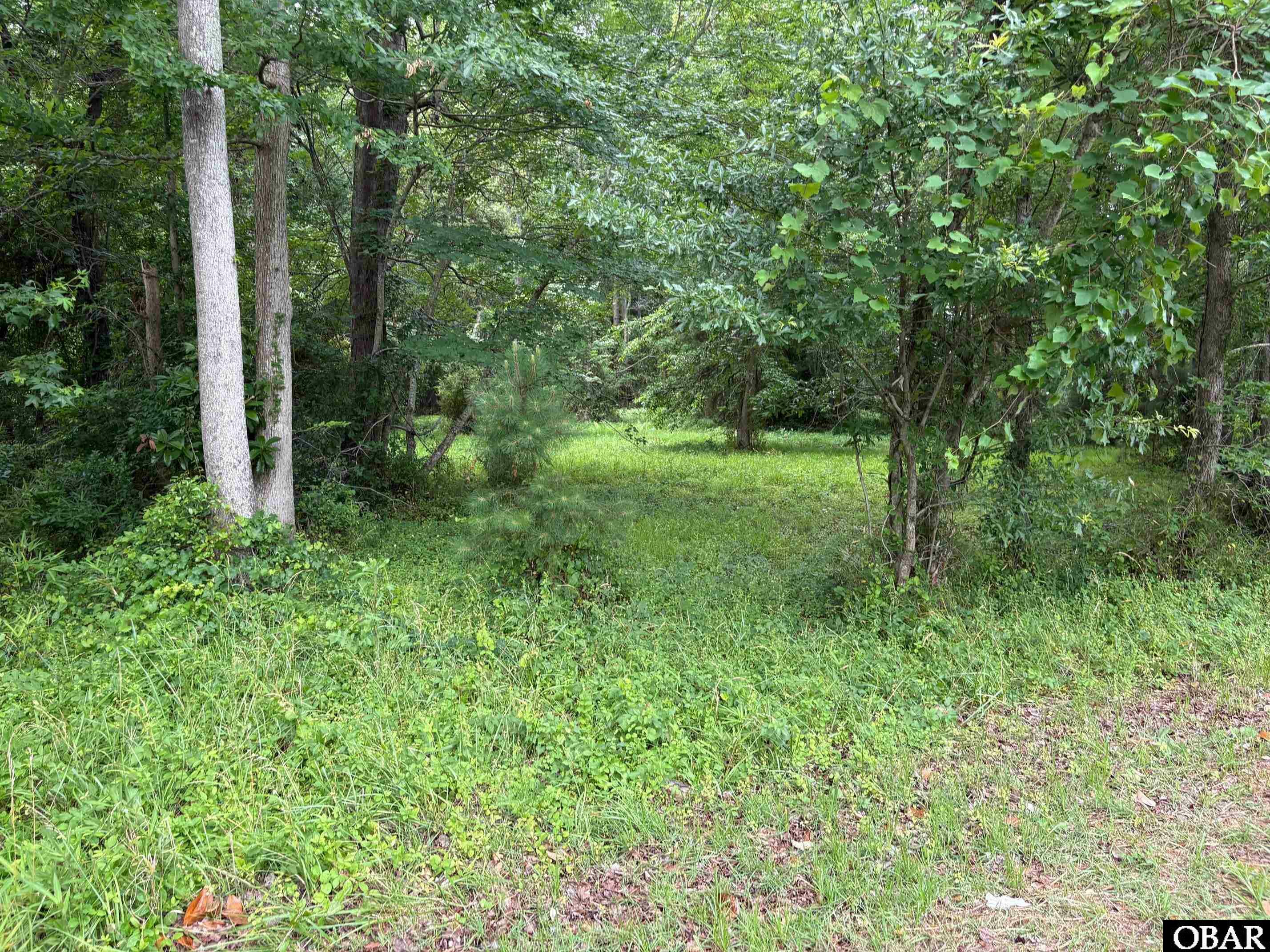 Property Photo: 938 Burnside Road NC 27954