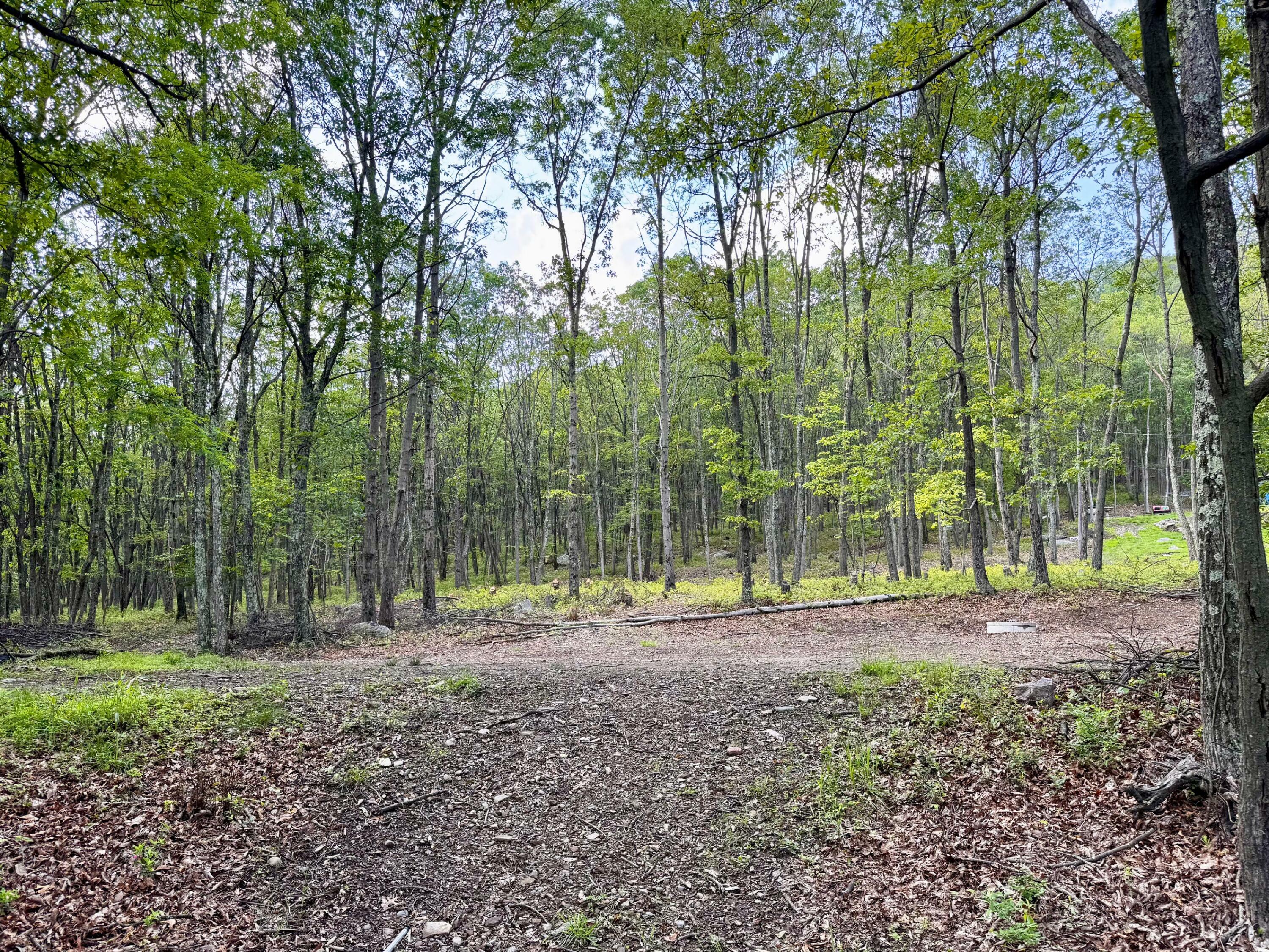 Property Photo: Foothill Blvd 5 Boulevard PA 18330