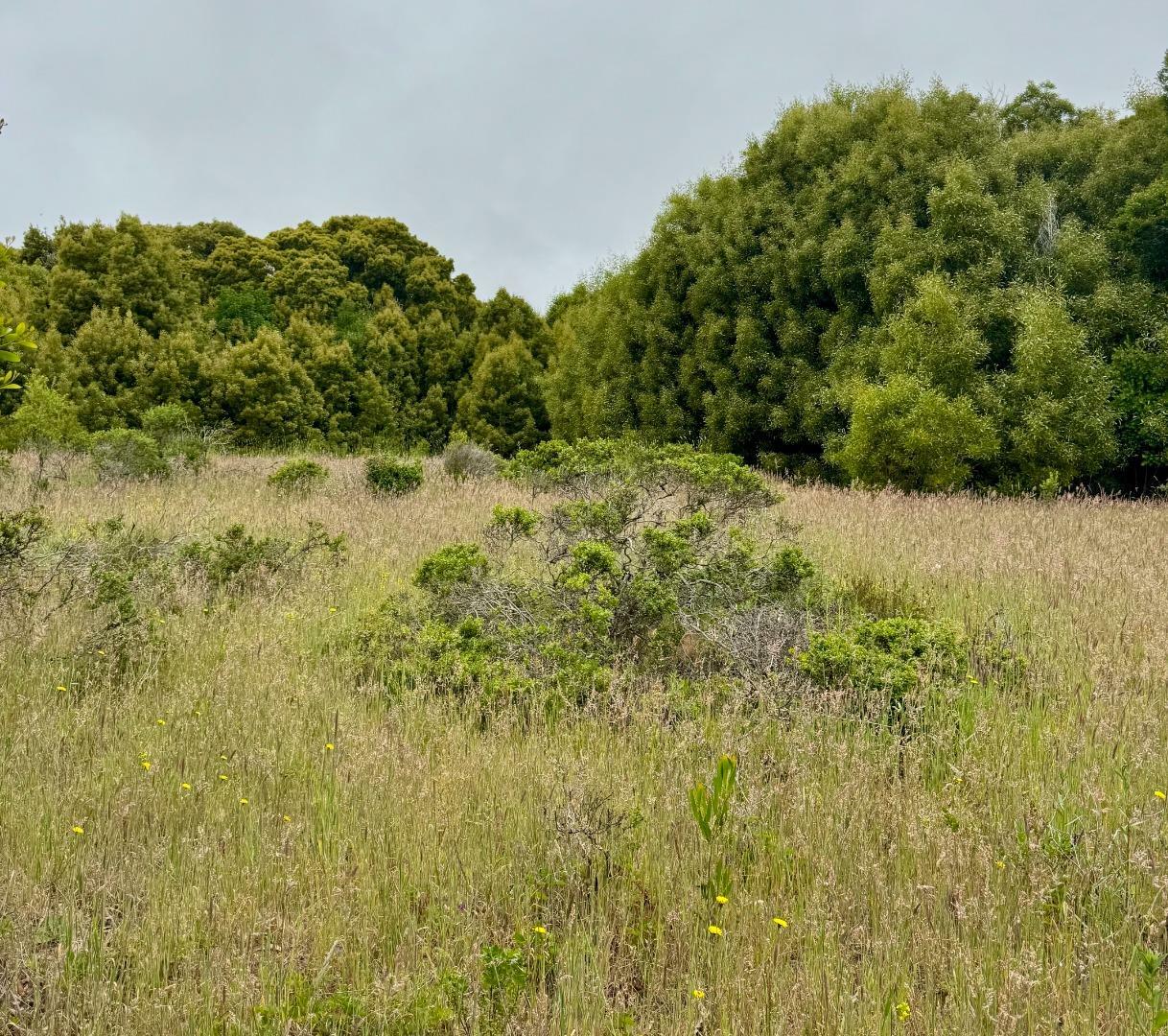 Property Photo: 00 Bonita CA 94019