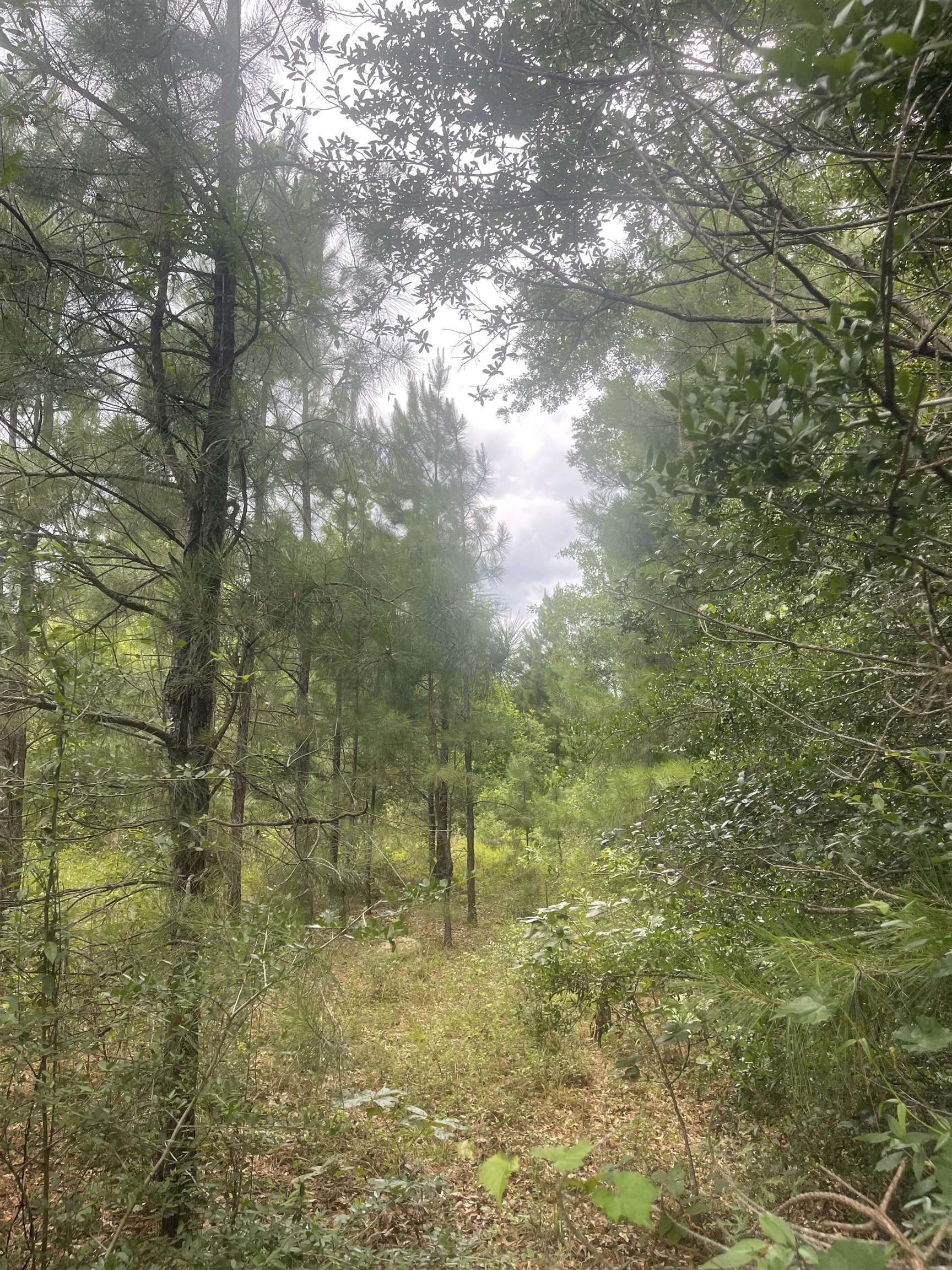 Property Photo: 02 Cr 4595 TX 77616