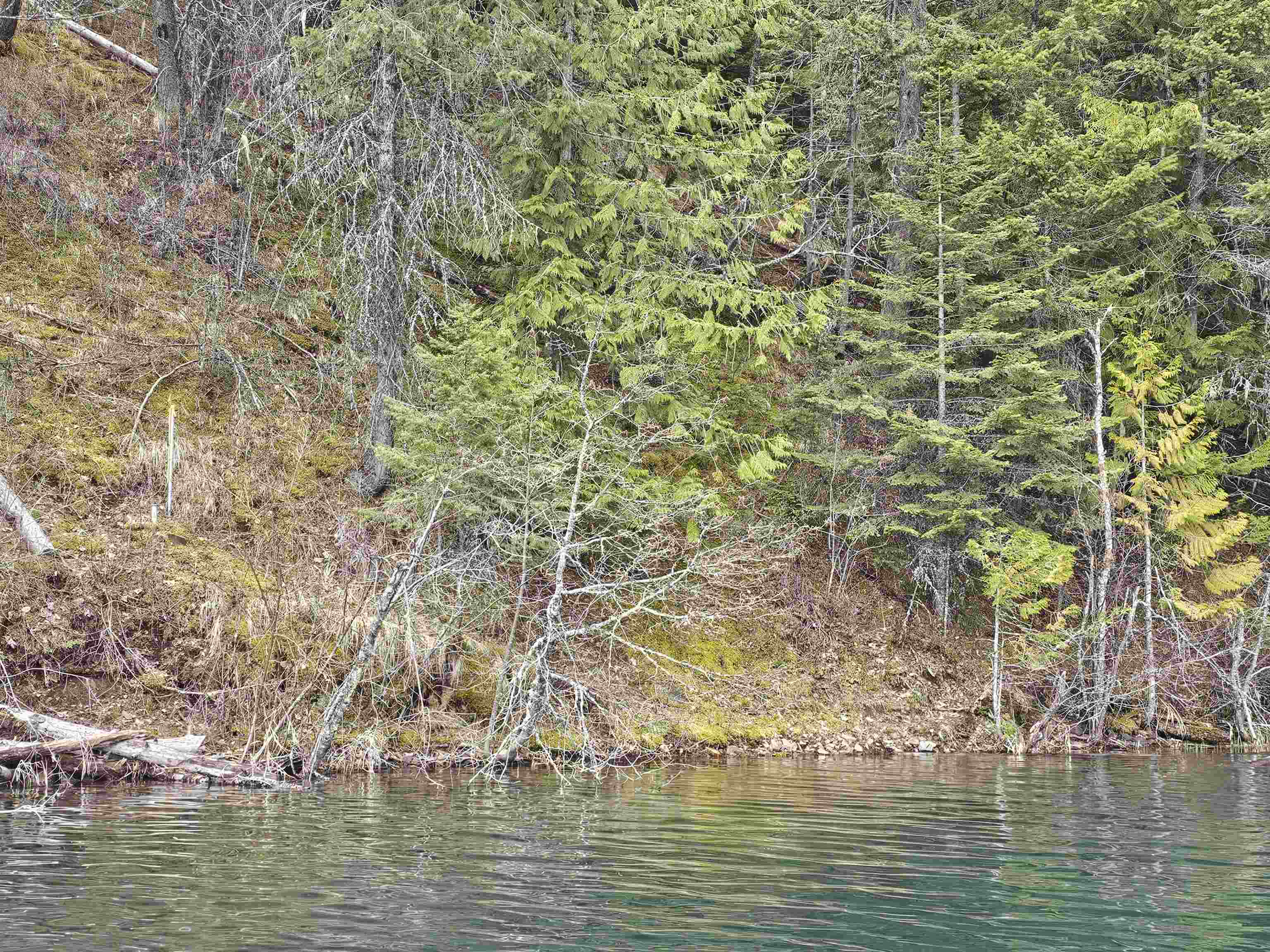 Property Photo: Nka Marshall Lake Rd WA 99156