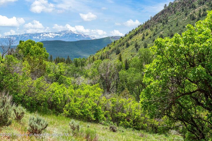 Property Photo:  354 Snowmass Creek Road  CO 81654 