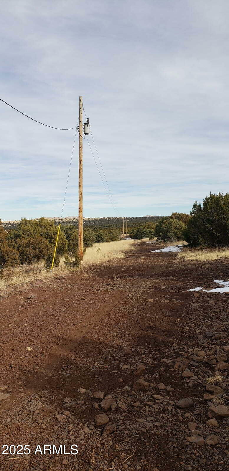 Property Photo: 43 N County Road N3209 Road 29 AZ 85924