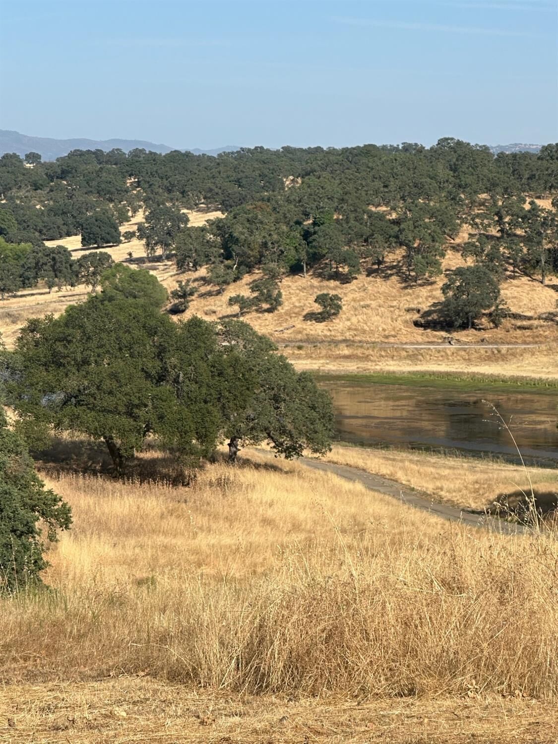 Property Photo:  75 Cormorant Drive  CA 95254 