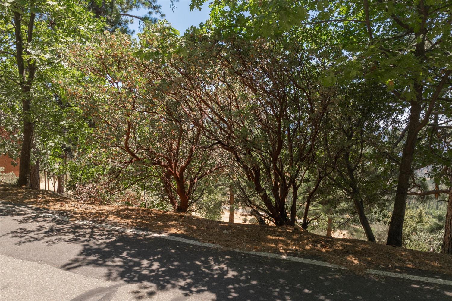 Property Photo: 1202 Heather Drive CA 95247