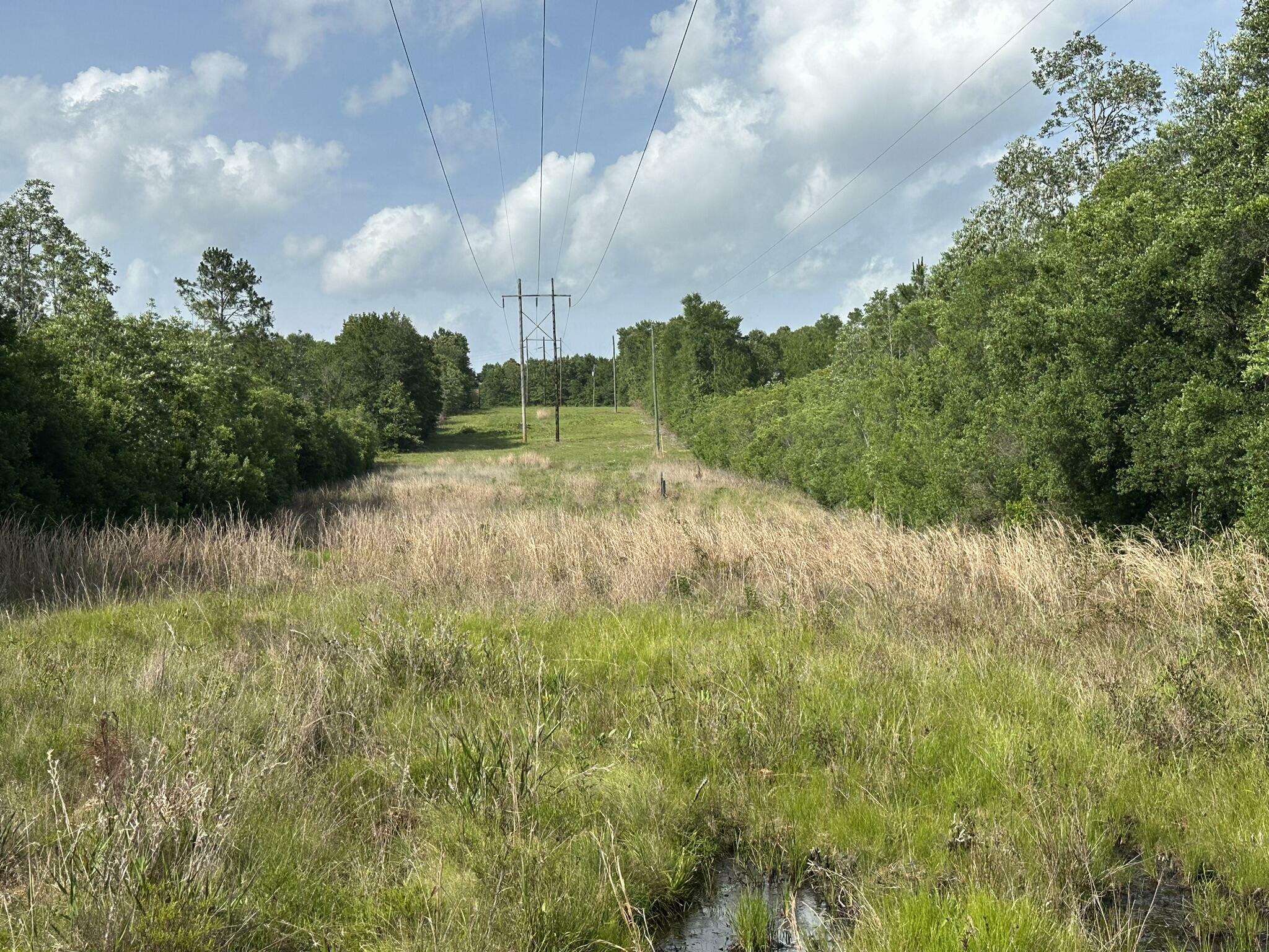 Property Photo: 228+/- Ac Old River Road FL 32531