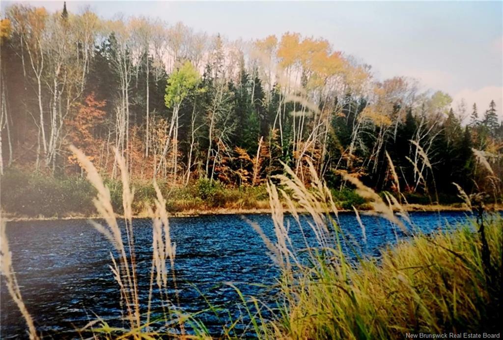Woodlot Route 8  Astle NB E6A 1N8 photo