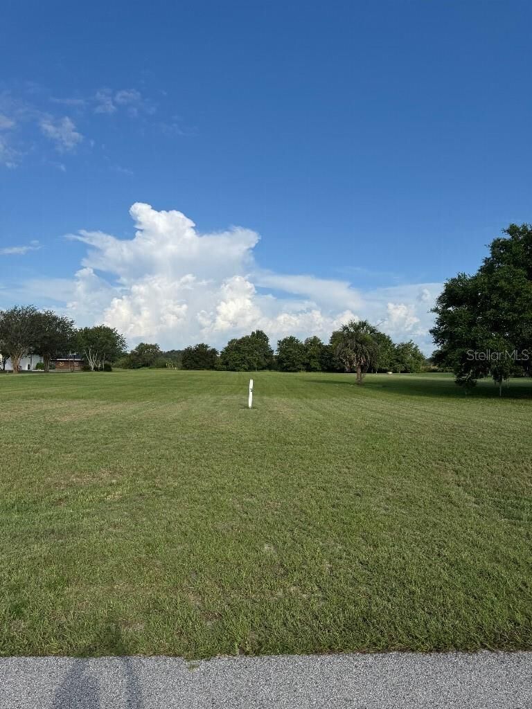 Property Photo:  Eagle Run  FL 34736 