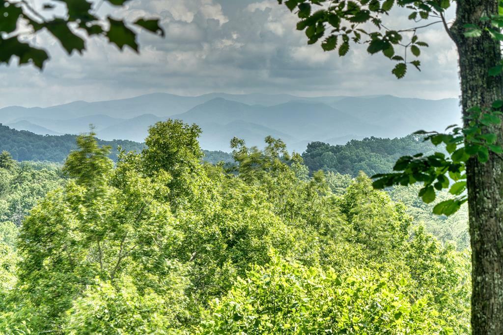 Property Photo: 830 Hunter Ridge NC 28906