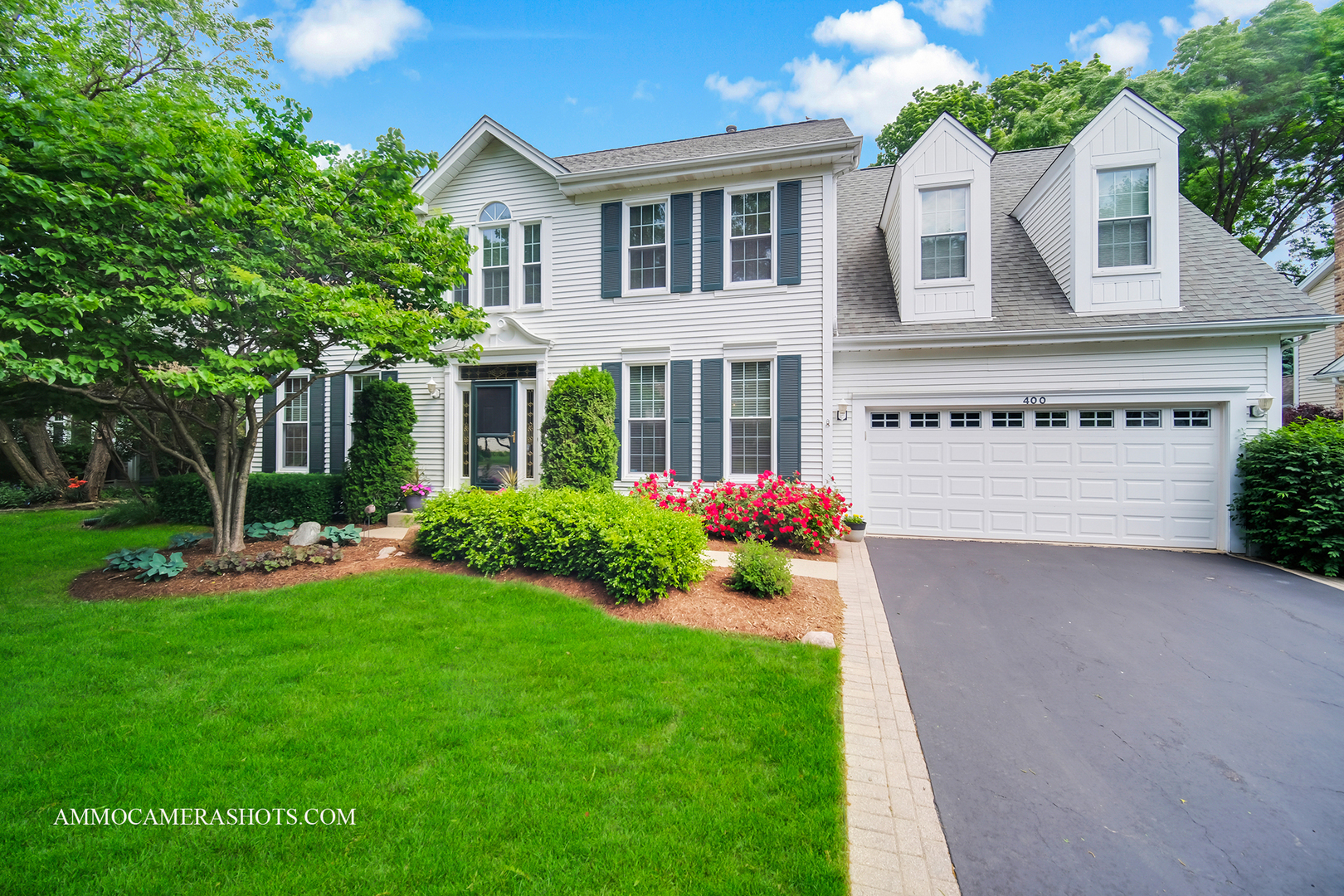 Property Photo: 400 Adare Drive IL 60013