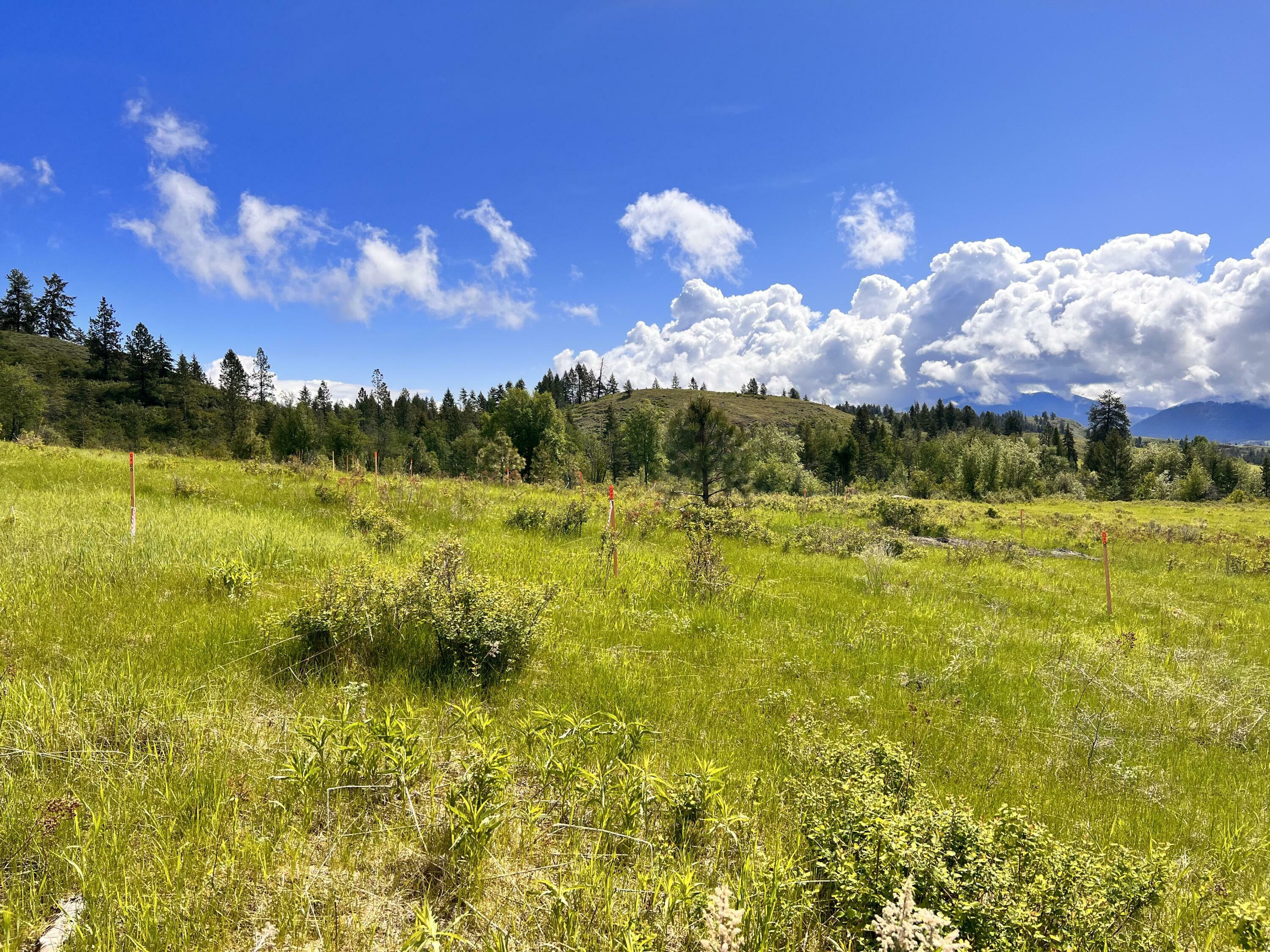 Property Photo: 36 Moonlight Dr WA 99118