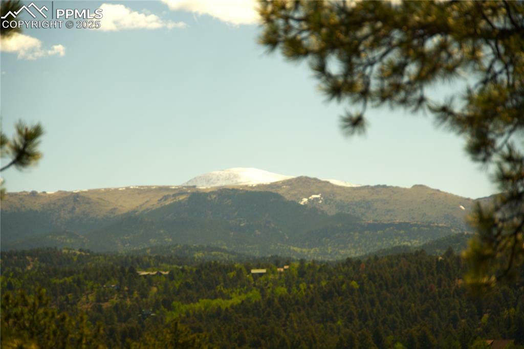 Property Photo: 29 Dexter Circle CO 80813