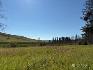 Property Photo:  190  Bunch Road  WA 98859 