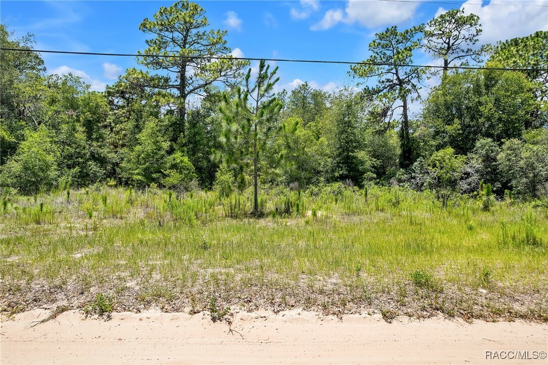 Property Photo: 620 S Fairlane Terrace FL 34461