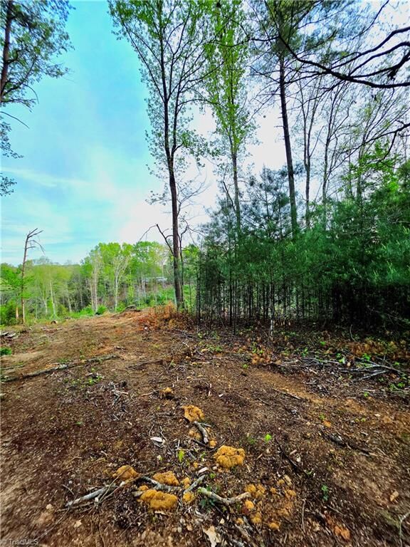 Property Photo:  Tbd Ruritan Park Road  NC 28659 