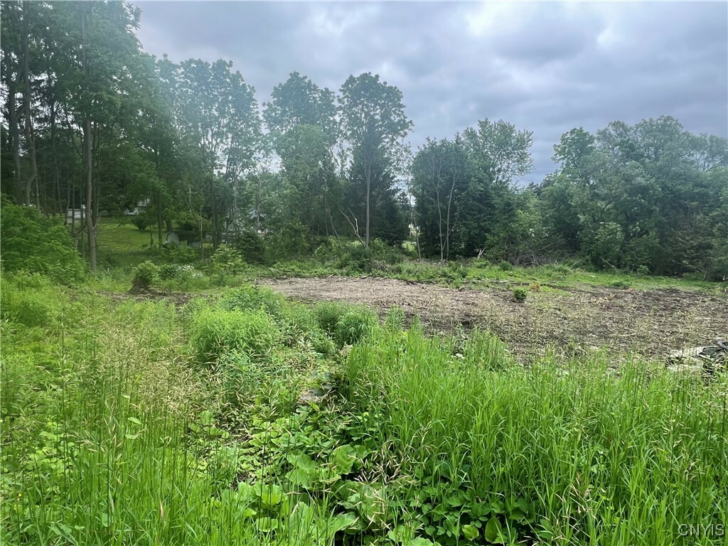 Property Photo: Franklin Street NY 13077