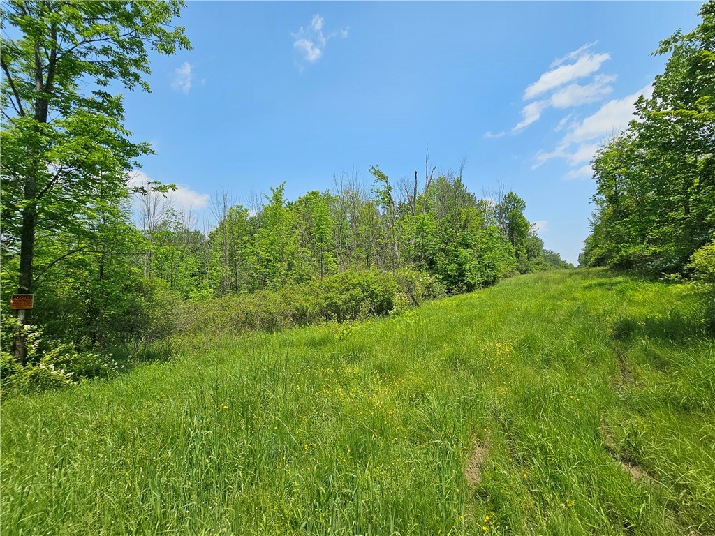 Property Photo: Crane Lane NY 14898