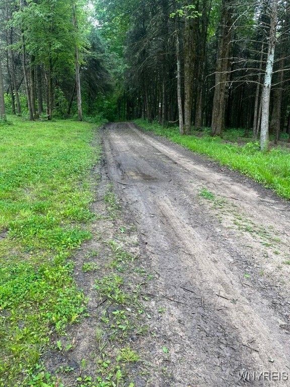 Property Photo: 3453 Duttun Loop Lane NY 14727