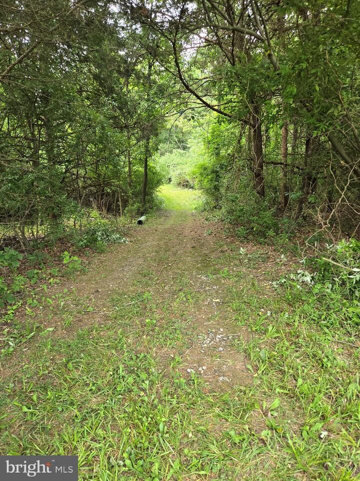 Property Photo:  0 Stage Coach-Chapel Drive  VA 22664