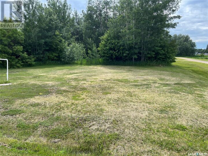 327 Windsor Avenue  Porcupine Plain SK S0E 1H0 photo