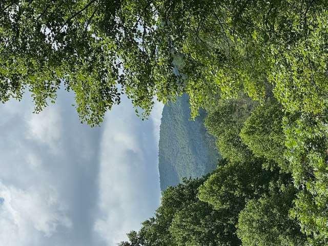 Property Photo: 0000 Big Creek Road GA 30536