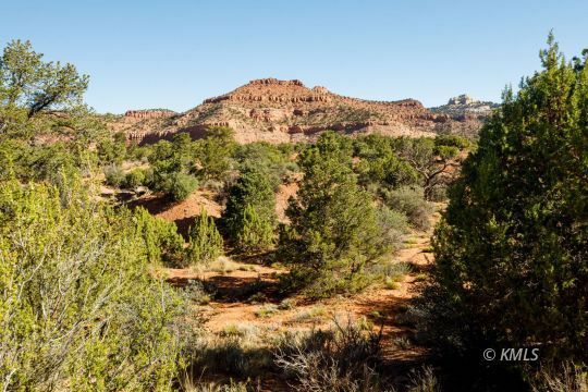 Property Photo: 4655 E Red Cliffs Dr UT 84741