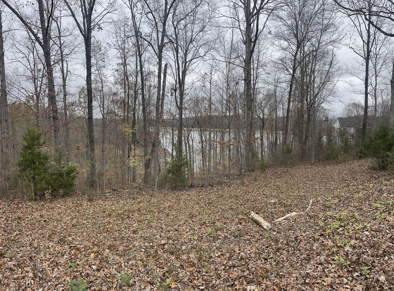 Property Photo: Lot 37 Cumberland Shores KY 42633