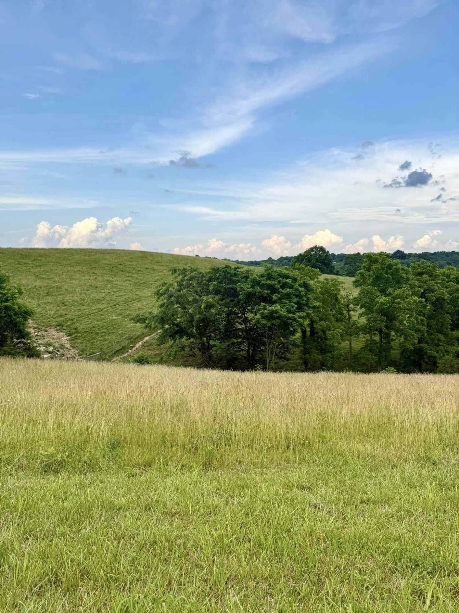 Property Photo: 159 Westwoods Drive KY 40324