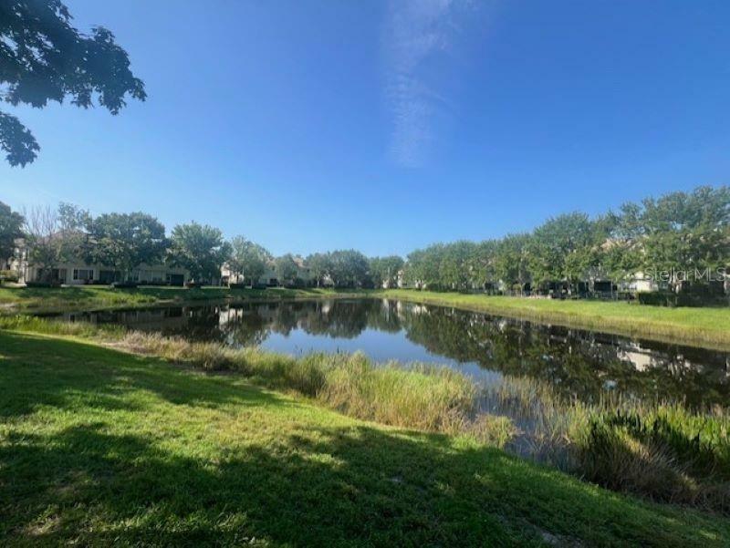 Property Photo: 14618 Mirabelle Vista Circle FL 33626