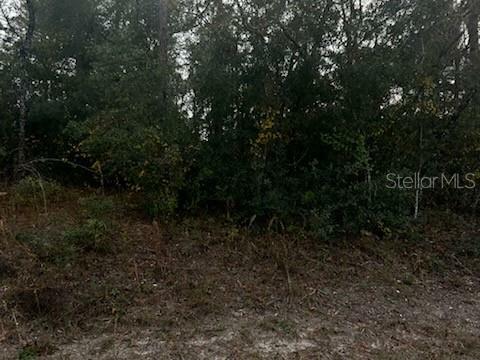 Property Photo: 6330 Mike Lane FL 33597