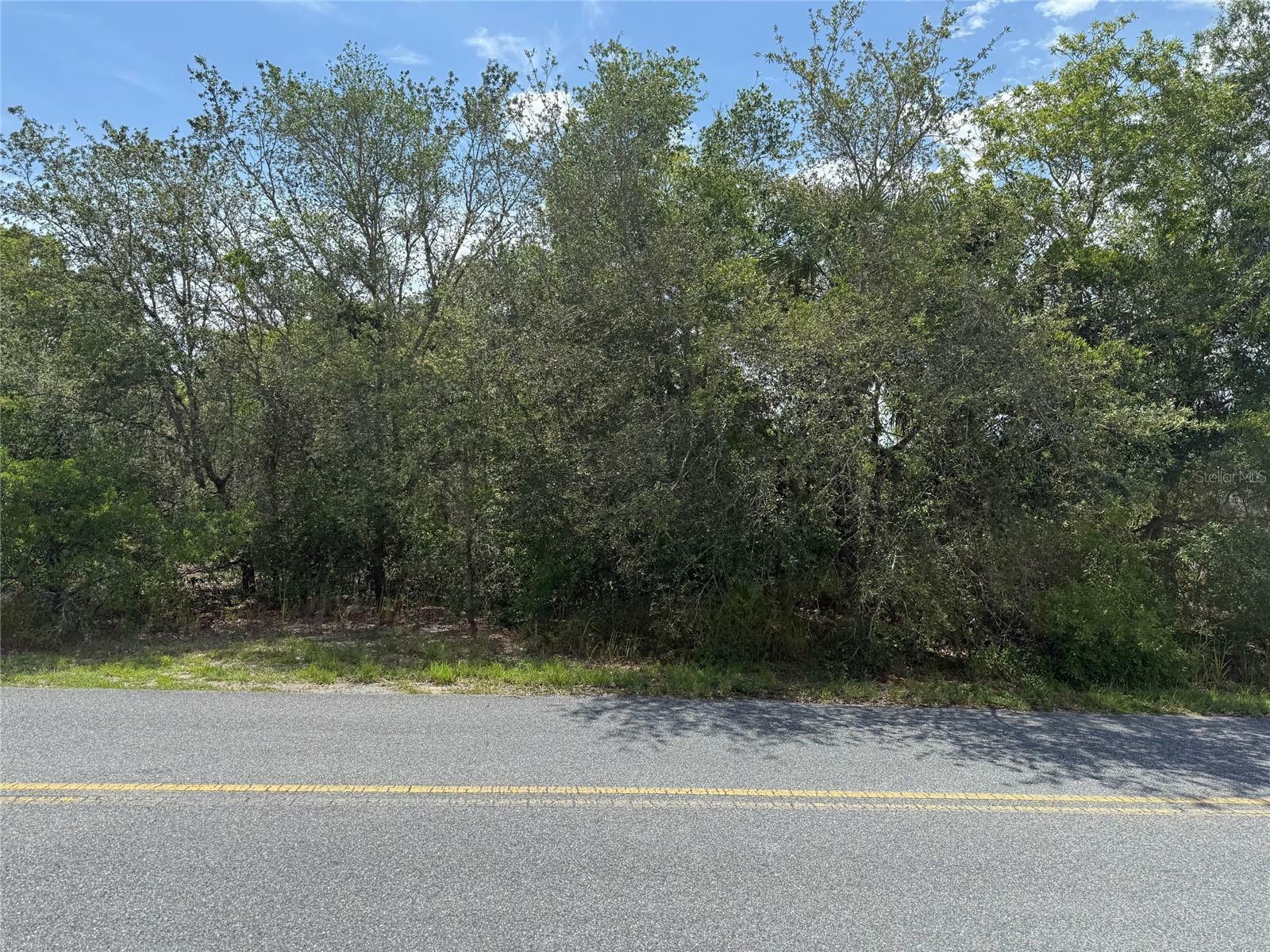 Property Photo: Tbd Locust Lane Pass FL 34472