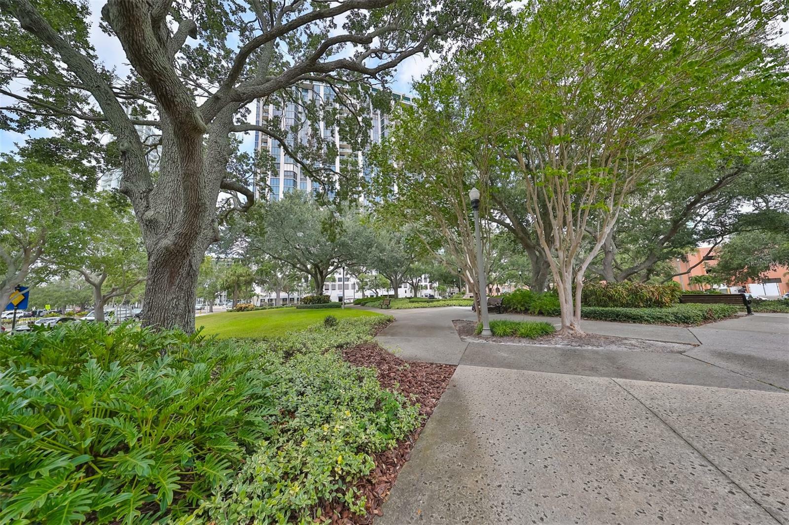 Property Photo: 1 Beach Drive SE 811 FL 33701