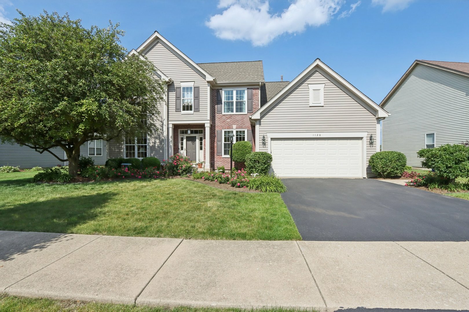 Property Photo: 1128 Teasel Lane IL 60564