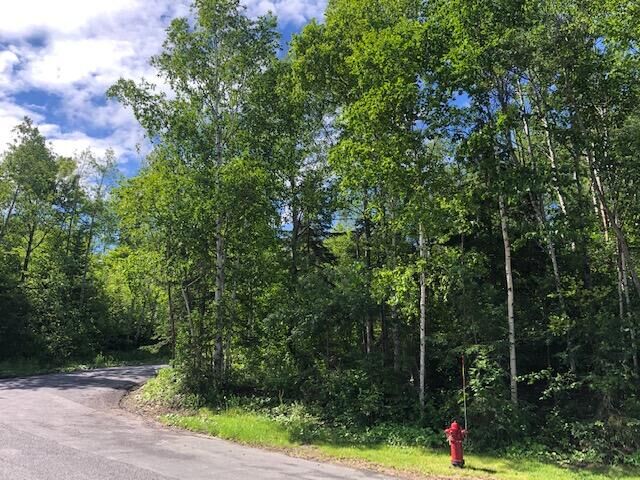 Property Photo:  Lot 94 Winter Street  ME 04756