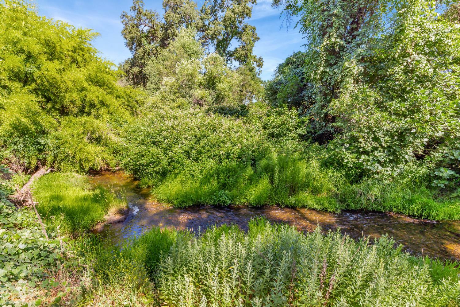 Property Photo: 3689 Meadow Court CA 95648