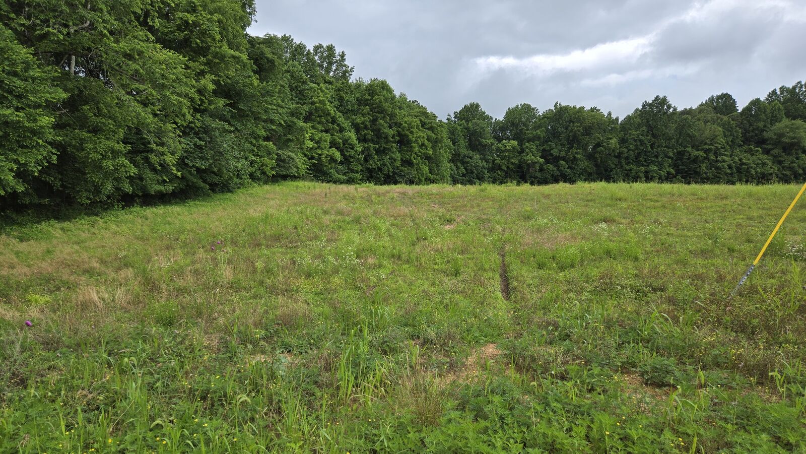 Property Photo:  0 White Springs Ln  TN 37083 