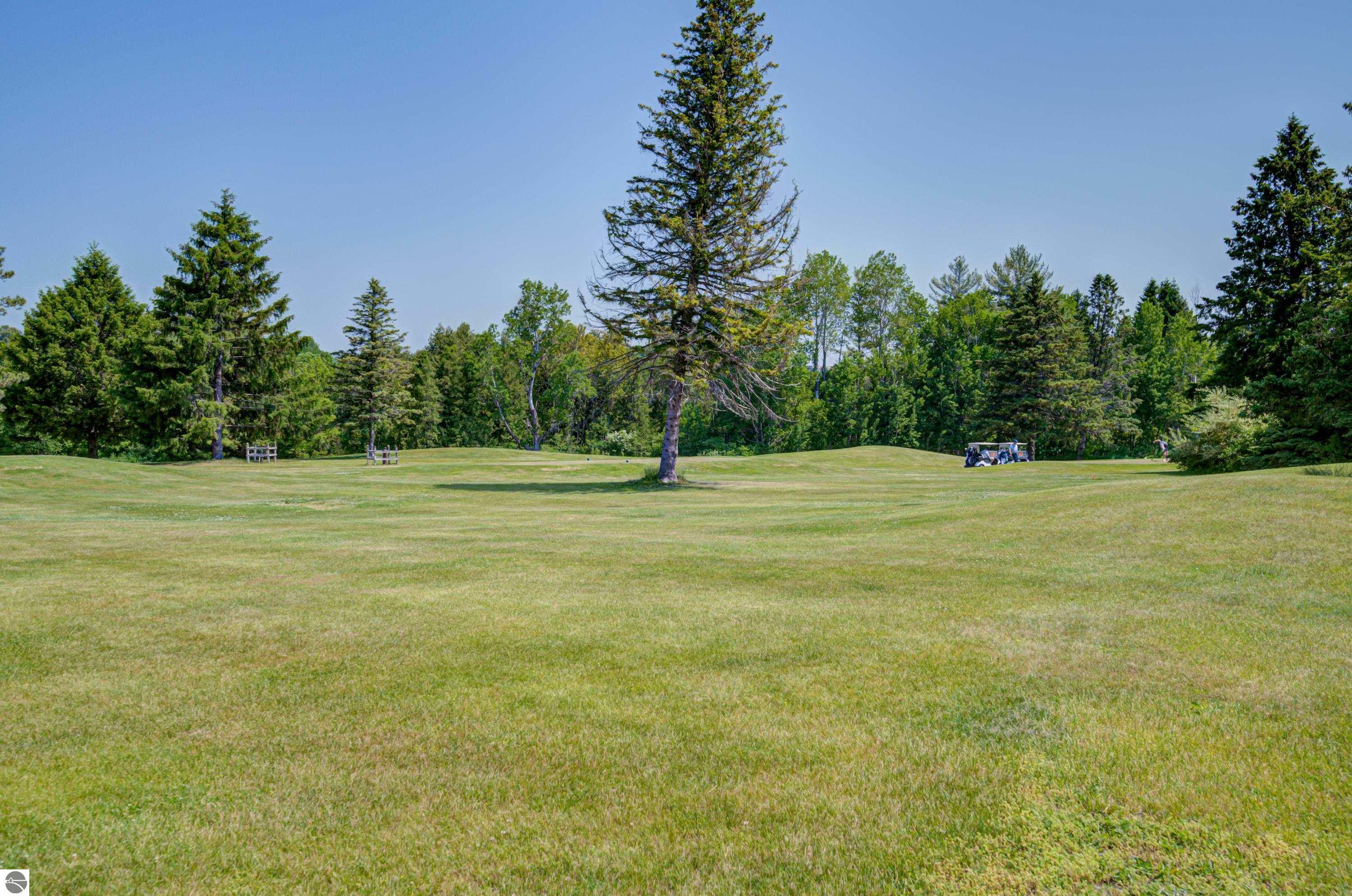 Property Photo: 6022 Holt Road MI 49690