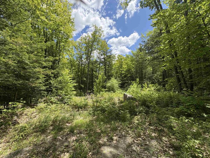Property Photo:  Craig Road  NH 03440 