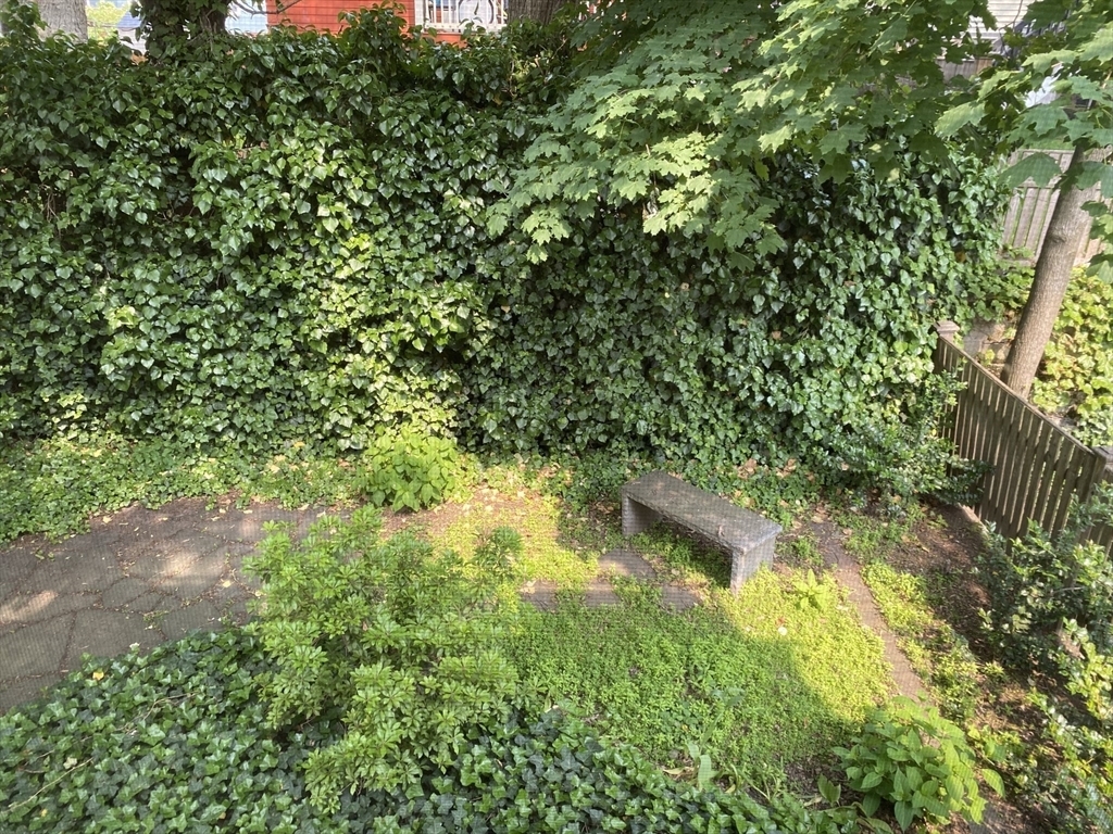 Property Photo:  10 Packard Ave  MA 02144 