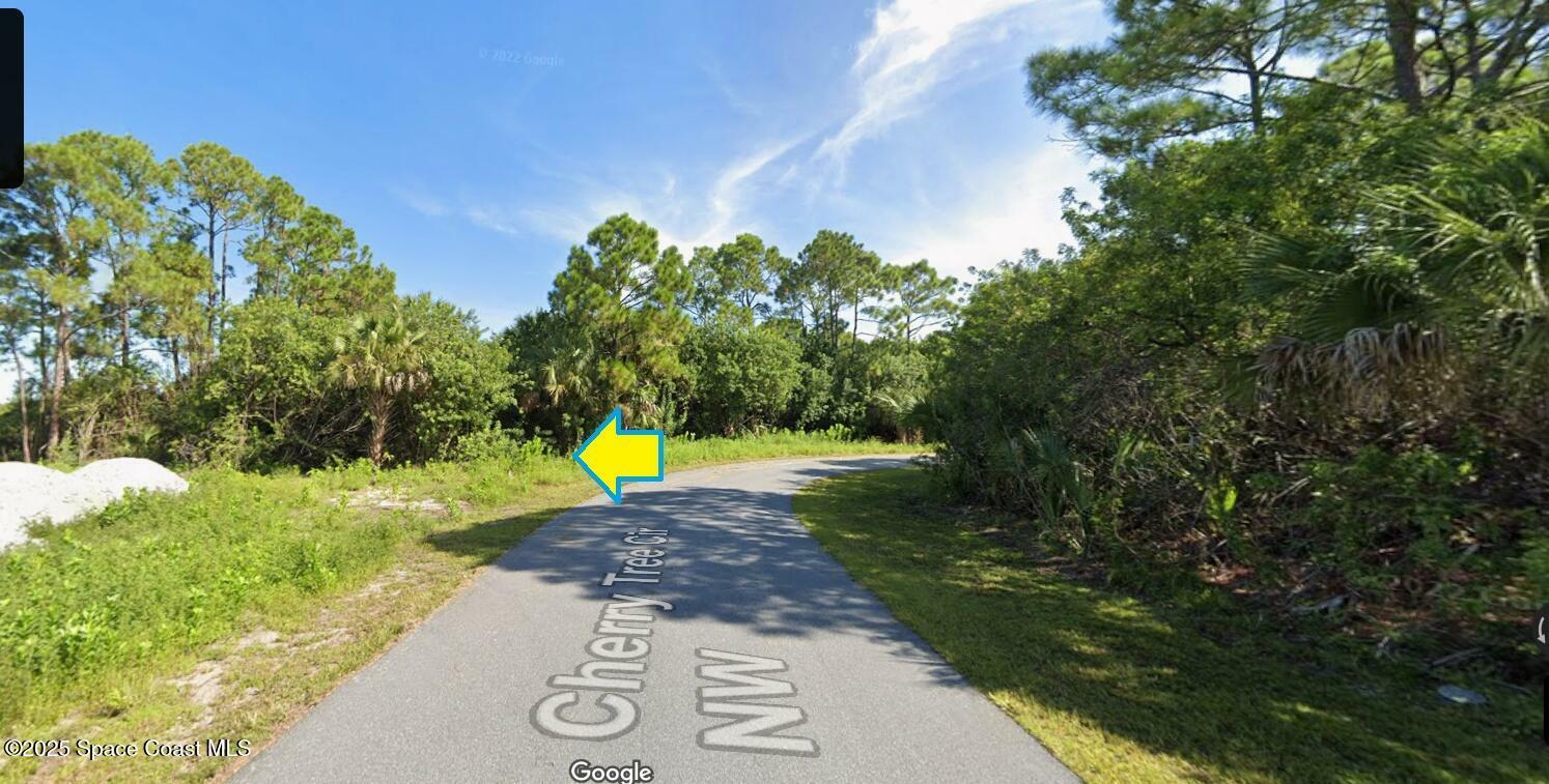 Property Photo: 363 Cherry Tree Circle NW FL 32907
